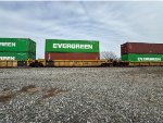 DTTX 781087